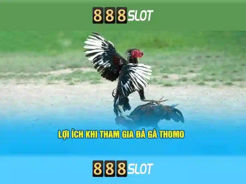 888slots casino bonuses: Khám phá ưu đãi và trải nghiệm