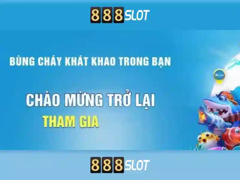 Khuyến mãi và chương trình thưởng