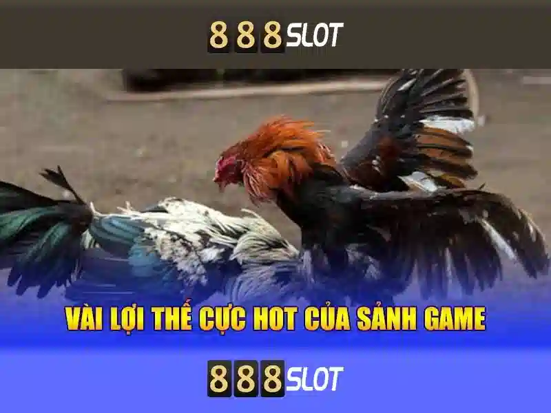 bejo 888 slot – Tổng quan chủ đề và giá trị cốt lõi