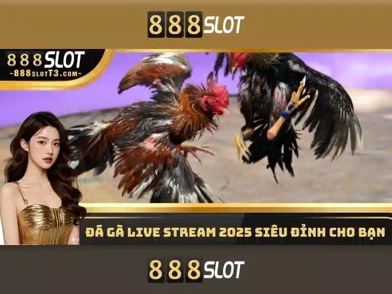 Tổng quan về 888slot