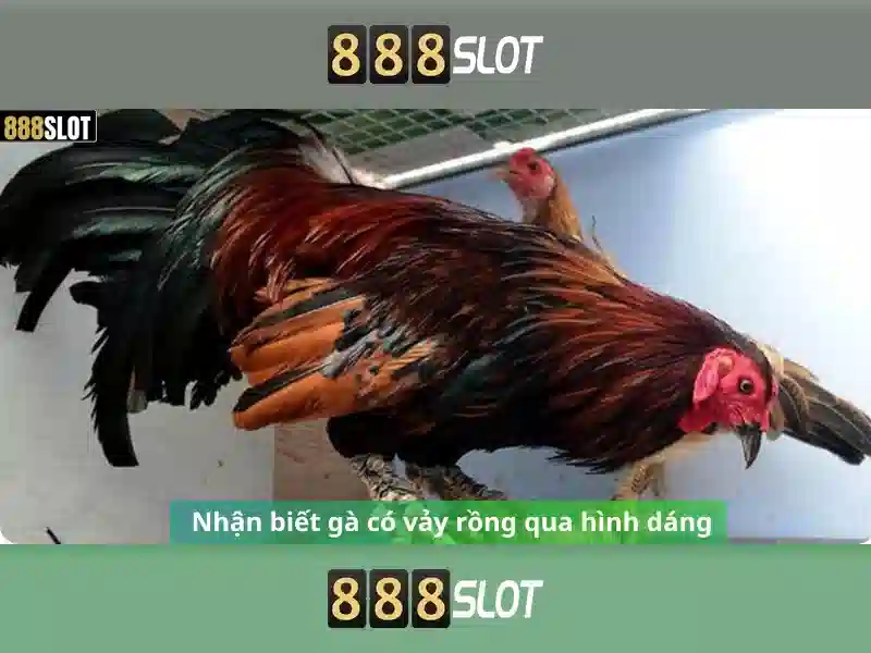 888slot: Tổng quan về nền tảng đánh slot trực tuyến