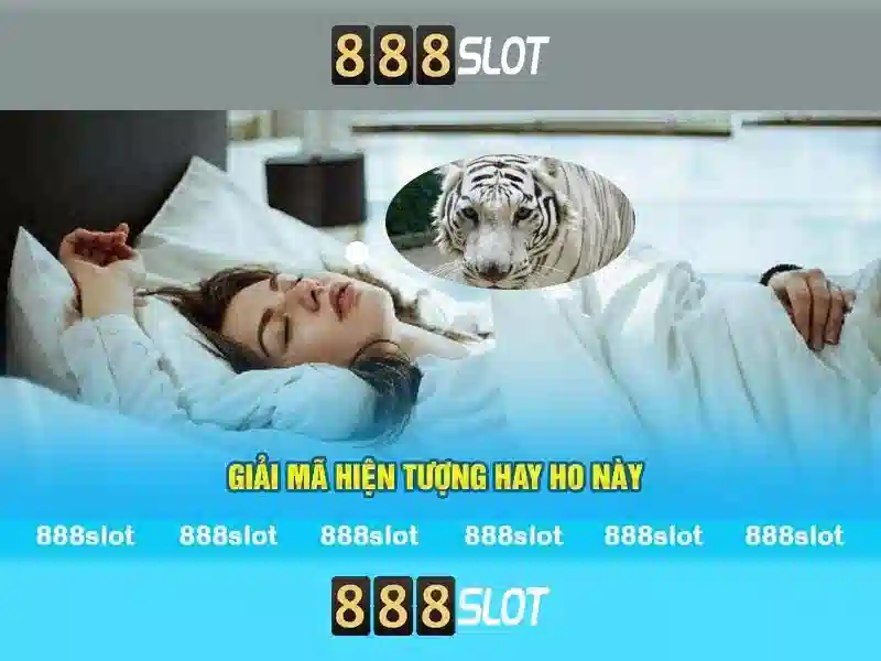 888slot: Nền tảng slots trực tuyến nổi bật