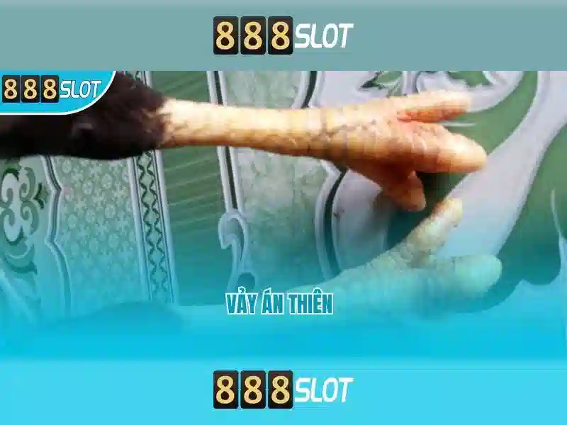 Giới thiệu về 888slot