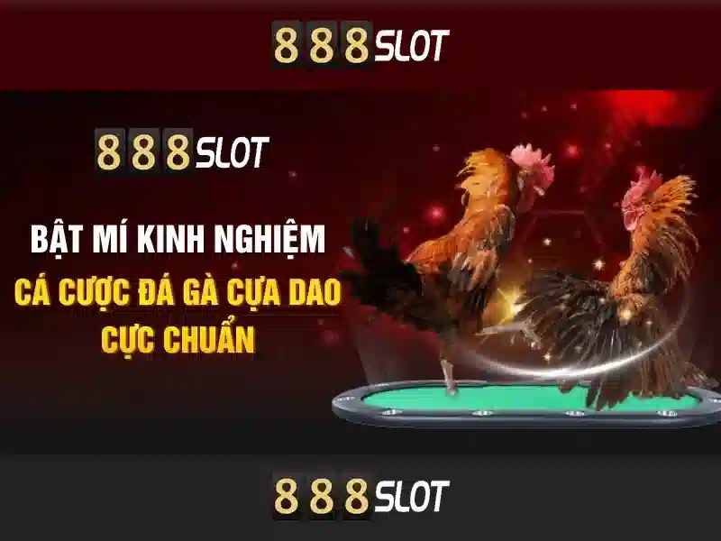 Giới thiệu về 888slot