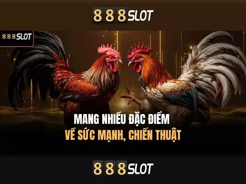 An toàn và bảo mật khi chơi tại 888slot\n<li style=