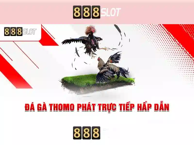 Giới thiệu về 888slot
