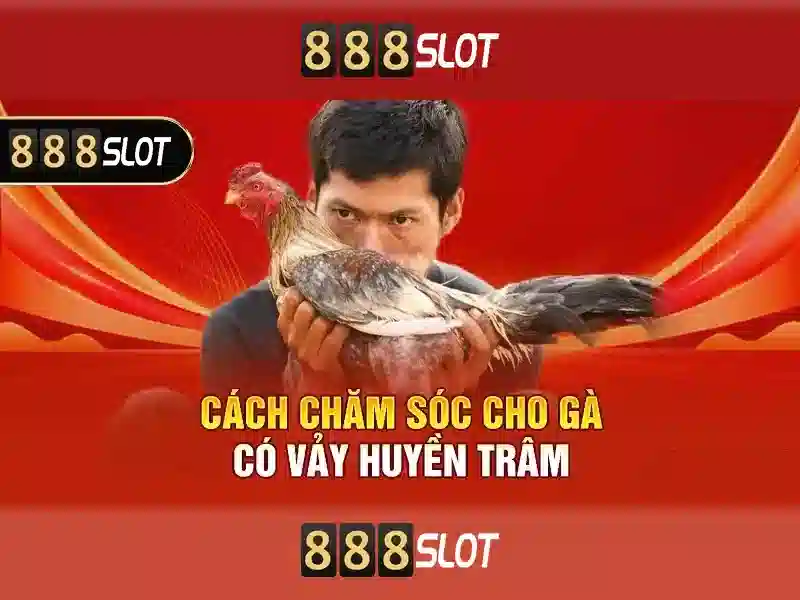 Giới thiệu về 888slot