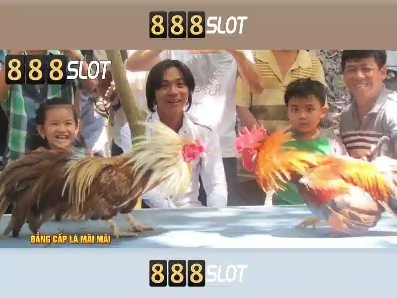 Khuyến mãi và hỗ trợ người chơi