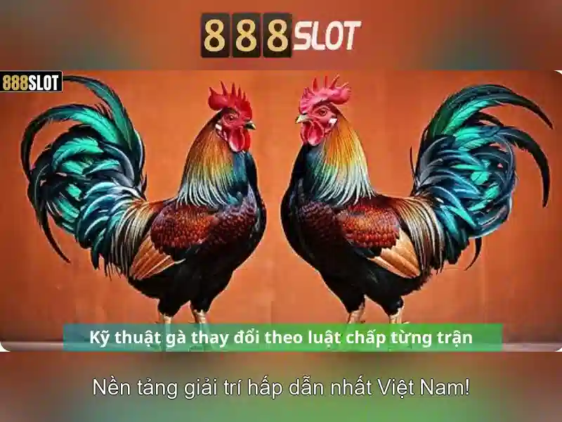 Giới thiệu về 888slot