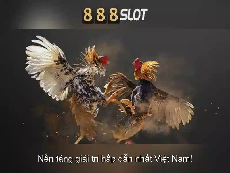 888slot - Nền tảng chơi slot trực tuyến đáng tin cậy