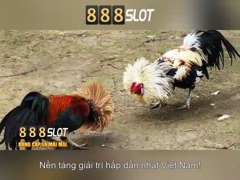 888slot - Nền tảng casino trực tuyến và trò chơi slot