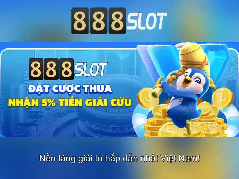 Kết luận và trải nghiệm người dùng