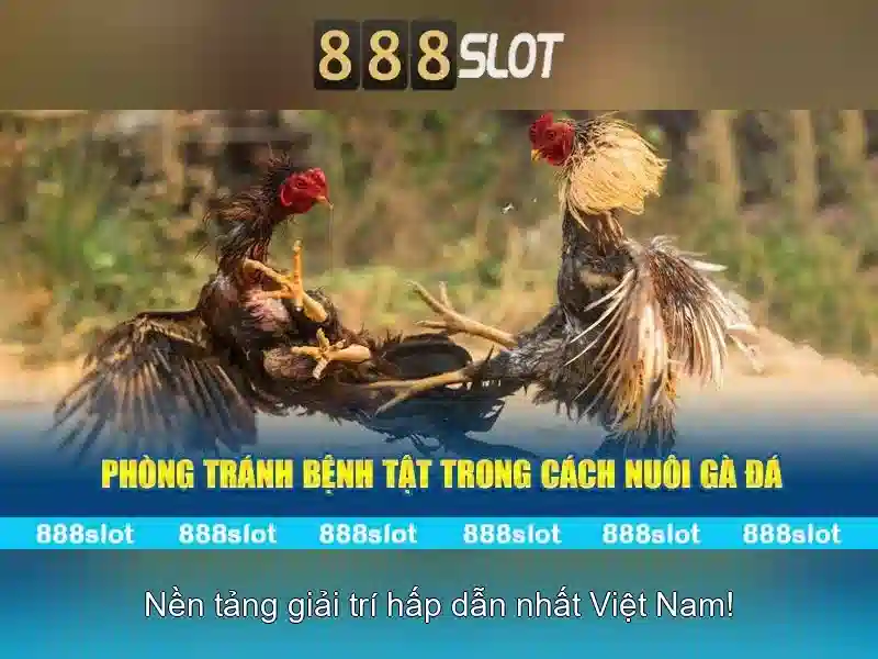 Tại sao chọn 888slot cho slot trực tuyến