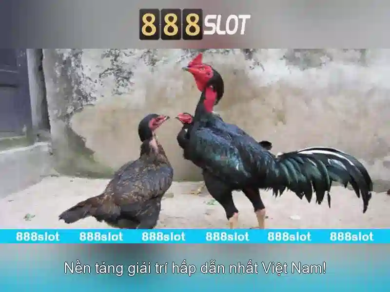 Trò chơi và nhà phát triển\n\n<h2><b>Khuyến mãi và chương trình thưởng</b></h2>\n<li style=