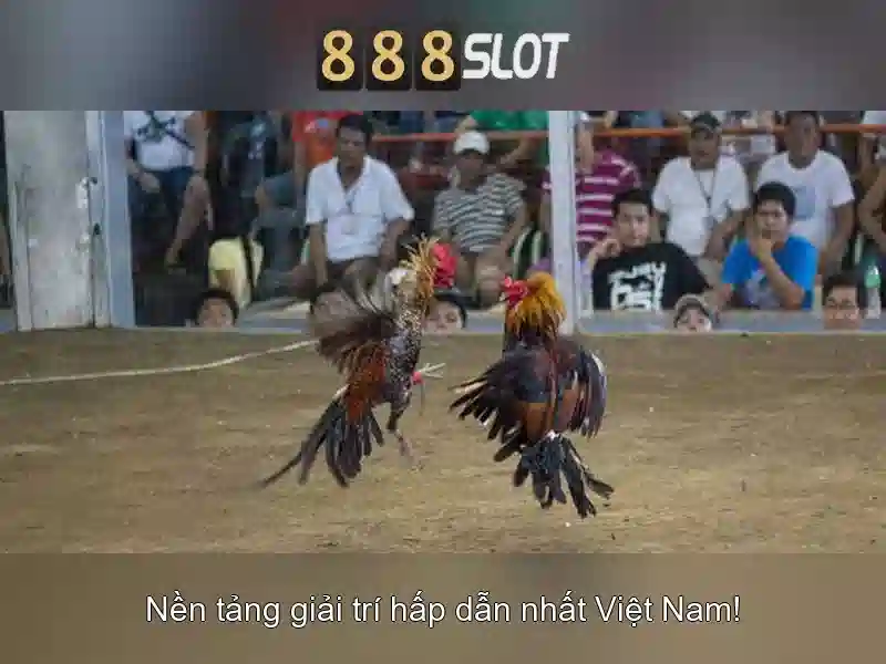 888slot - Nền tảng đánh bạc trực tuyến và máy slot hàng đầu