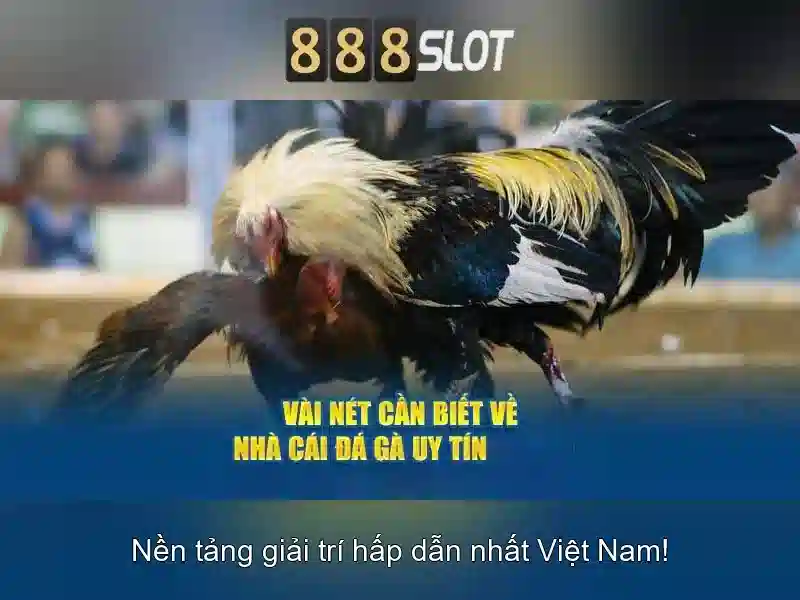 Khuyến mãi và cách tham gia
